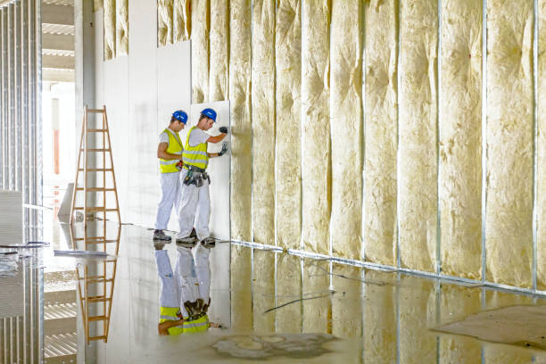 Best Geographic-Specific Insulation Services in Gainesboro, TN
